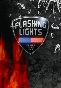 Flashing Lights - Полиция，Пожарные，Симулятор экстренных служб